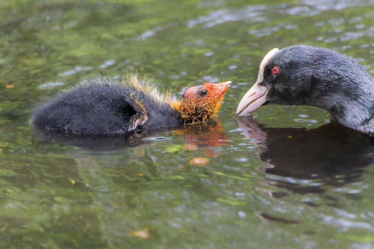 Eltern informieren sich über Wärmepumpen für ein gesundes und sicheres Zuhause